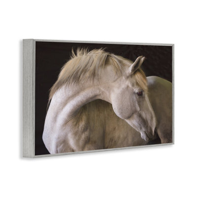 Dessin de cheval de beauté, estampe numérique, design par Jadei