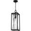Mini-luminaire suspendu noir mat 1 lumière Kennell