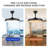 Ceiling Fan with LED Lights