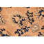 Tapis oriental brun en laine noué à la main 6 pi x 9 pi Baccio