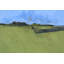 "Riverfront Trees" par Paul Bailey - reproduction d'art sur toile-1647555082