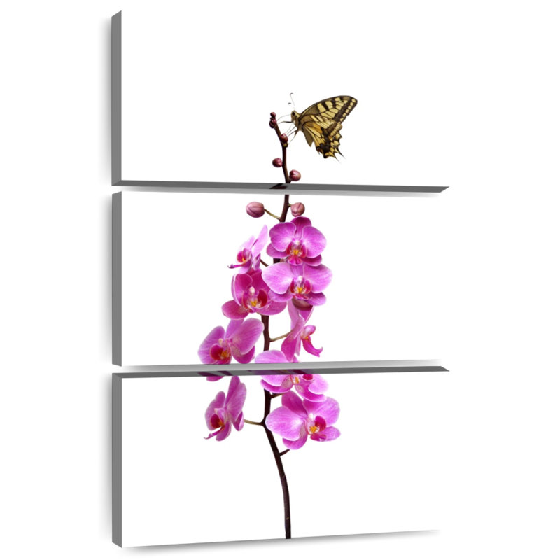 Papillon Brampt sur une tige d'orchidée, H 57 po x l 36 po