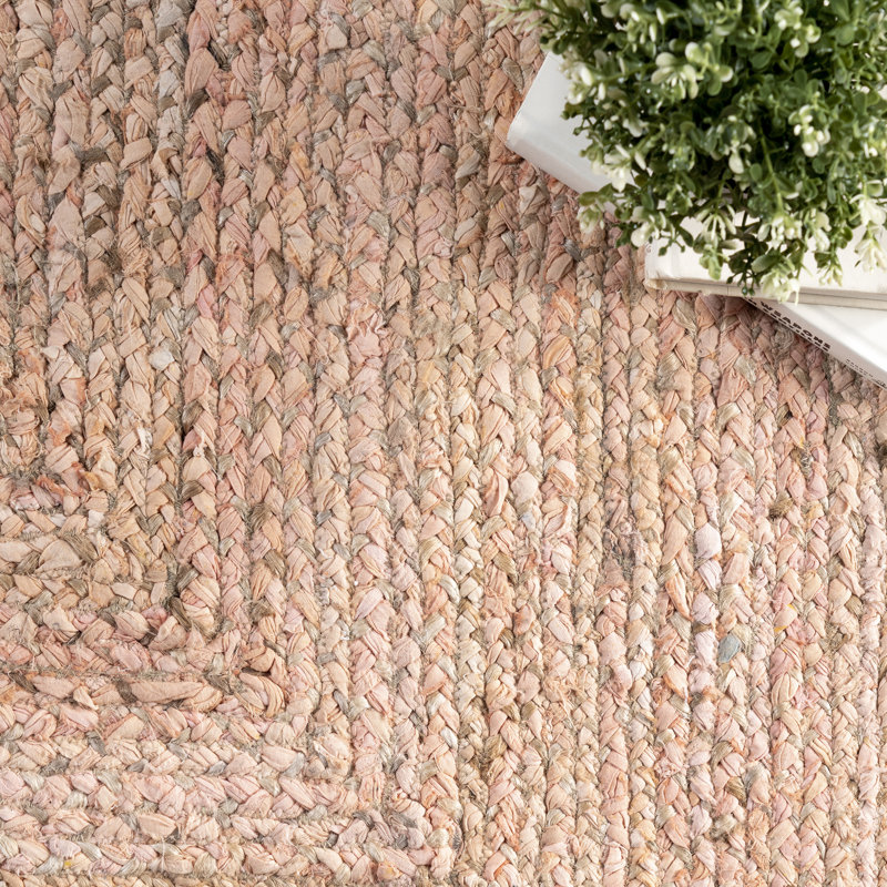 Delasandro Hand Braided Jute/Cotton Beige/Brown Area Rug, Rectangle 3' x 5'
