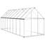 Charika 14.5 Ft W x 5.5 Ft D Greenhouse-368405613-348475199