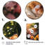 «Fluffy Cat Sleeping Sunny Flower Garden» sur impression sur toile-1605168940-1605168941