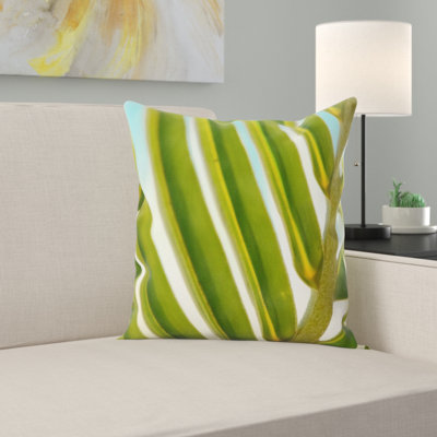 Coussin de plante