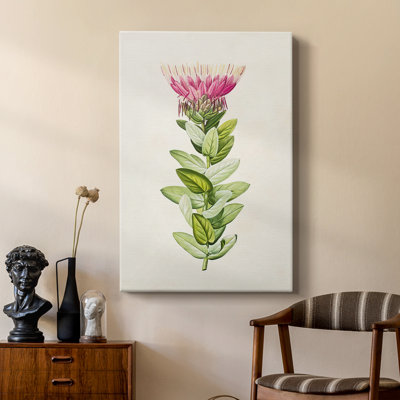 Pretty Pink Botanicals IV - Gallery Cavas