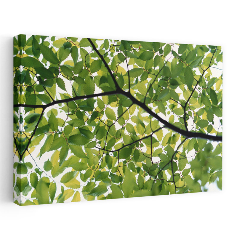 Arbre rétro contemporain rétro-éclairé, H 32 po x l 48 po
