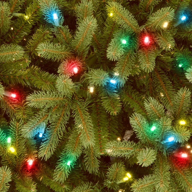 The Holiday Aisle® Jersey Fraser Fir Tree, 7.5' H