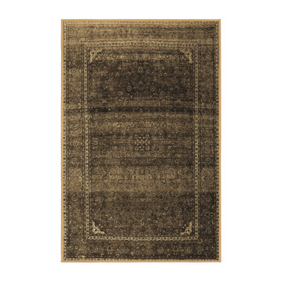 Hadewig Oriental Indoor Rug