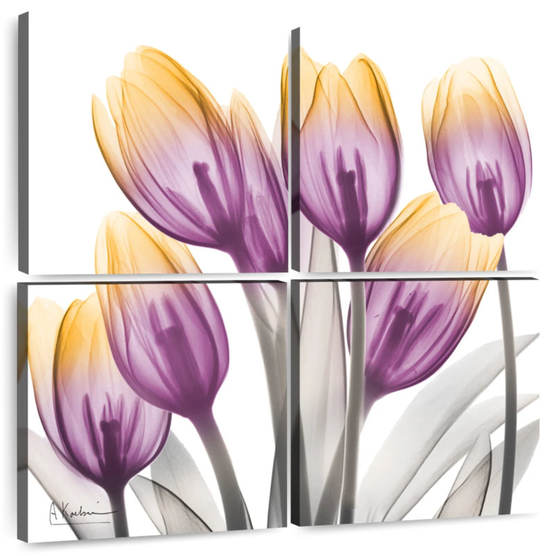 Harnek Sunrise Tulips II