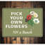 Plaque en aluminium «Pick Flowers»-58203448