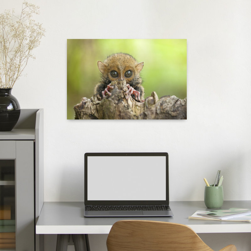 Baby Tarsier Contemporary Monkey Wall Art Print 1 Piece Wrapped Canvas Wall Art, 40.64cm H x 60.96cm W