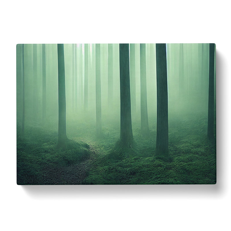 Adventurous Forest - Wrapped Canvas, 35cm H x 50cm W x 3cm D