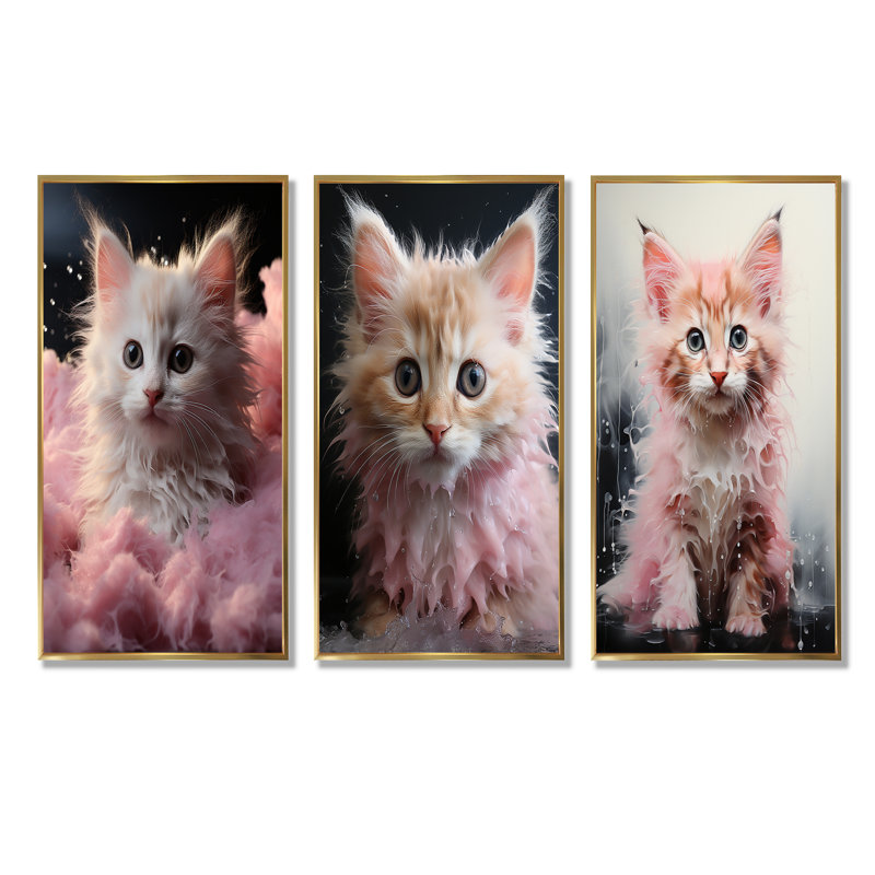 Bain pour chaton, Cadre flottant doré, H 40 po x l 60 po