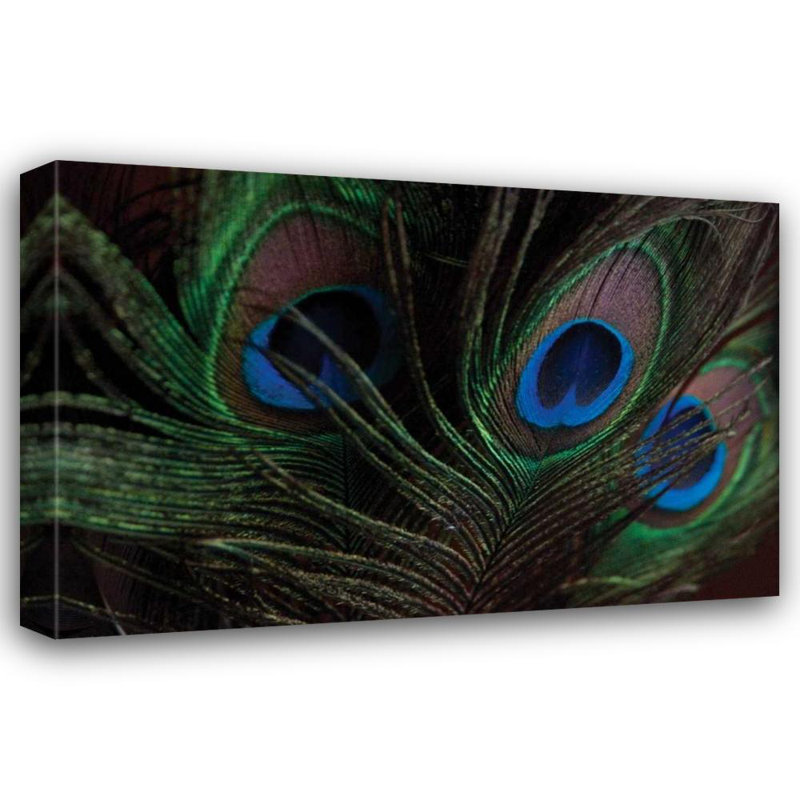 «Red Barrel Studio® Berzel», art sur toile tendue par Erin Gallery: Peacock Feathers I, H 28 po x l 40 po