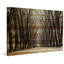 «Tree Path II» par Parvez Taj - Photographie sur toile tendue-228767028