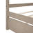 Canopy Bed With Trundle-72895106
