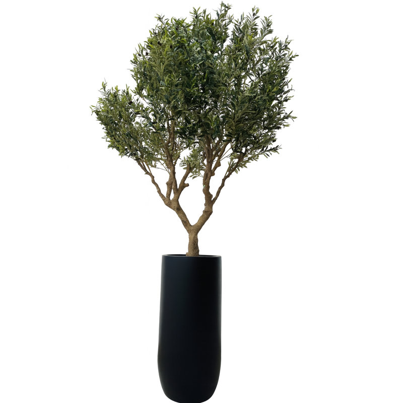 Artificial Olive Tree In Matte Black St. Tropez Planter, Black