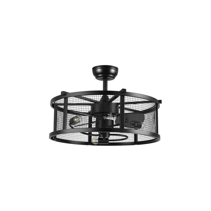 Ceiling Fan