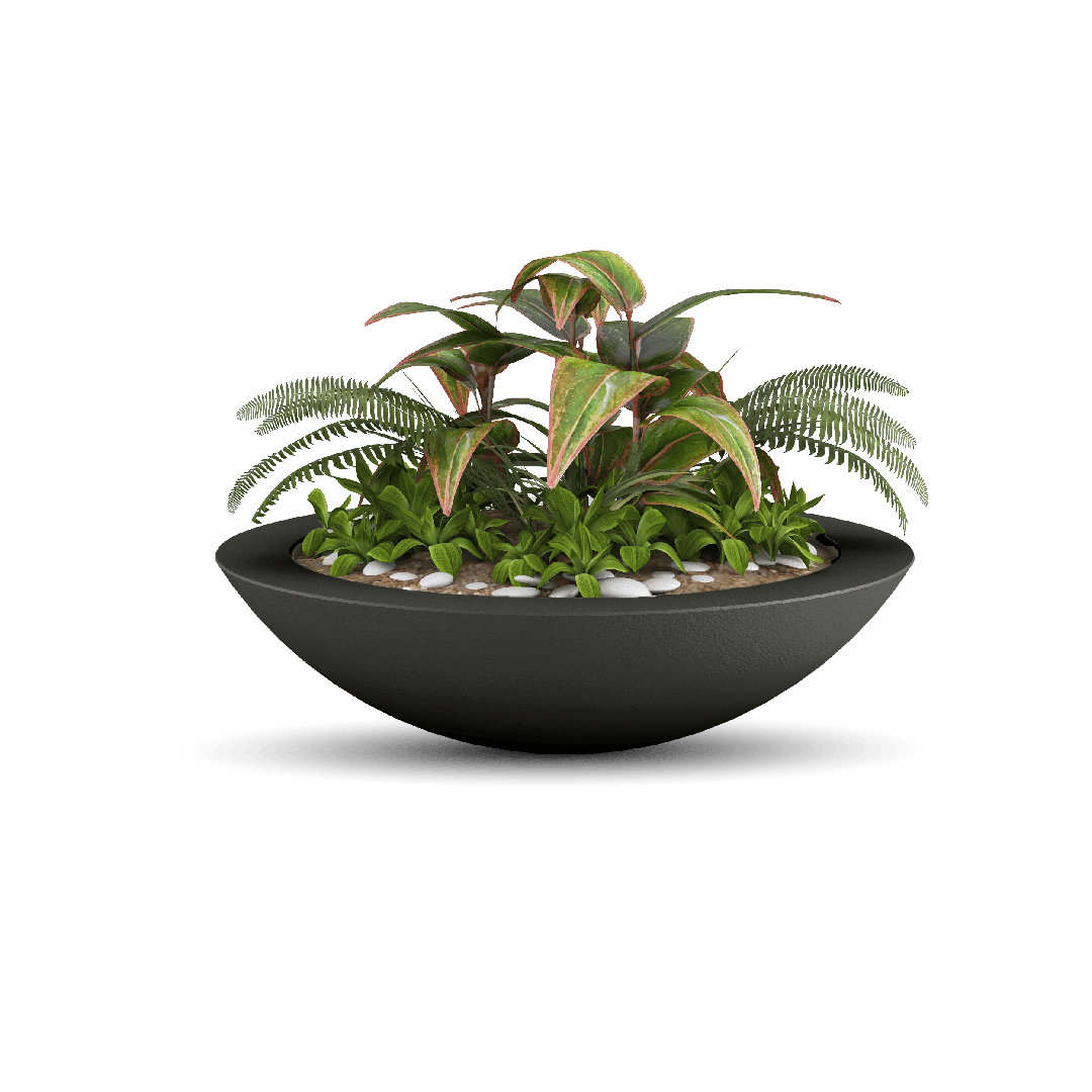 Oceanside Shallow Concrete Planter Latitude Run® 