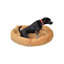 Beignet-3847980-11097547