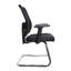 Costin Mesh Conference Chair
