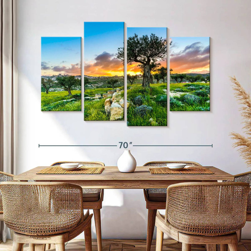 Harnek Olive Trees At Sunset