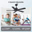 Ventilateur de plafond d'intérieur à 5 pales Baun avec télécommande-1027365007-1027365003-1027365004