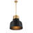 Dooley 1 - Light Single Dome Pendant in Matte Black-1078510084