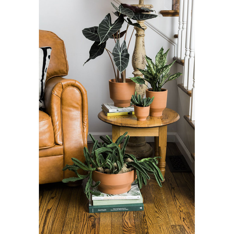 Pot à fleurs en céramique Gerrie, H 6,75 po x l 5,5 po x P 5,5 po