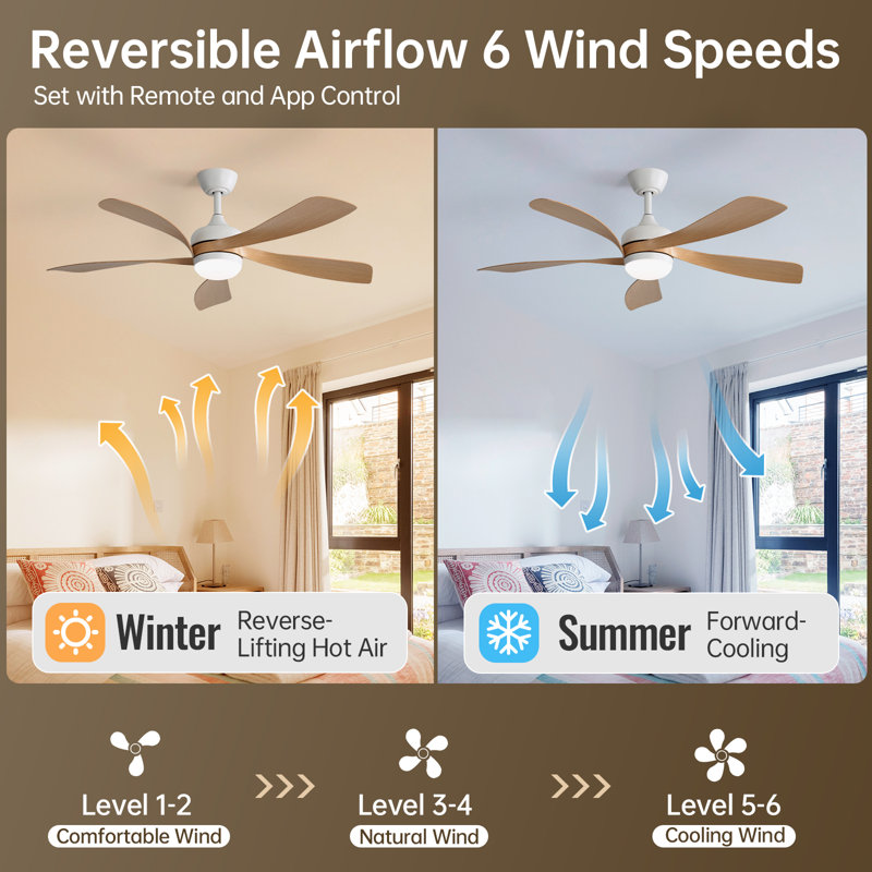 Damecia 5 - Blade Smart Standard Ceiling Fan with Remote Control and LED Light, Natural Wood/White, 45"