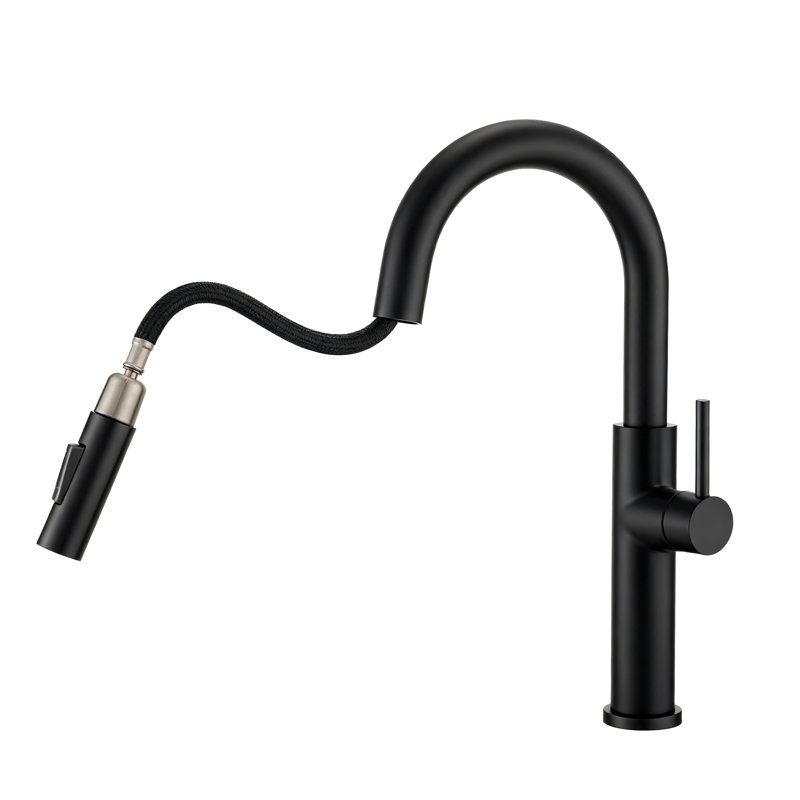 Robinet de cuisine à poignée simple Rex High Arc, sans plomb, noir mat, Noir mat