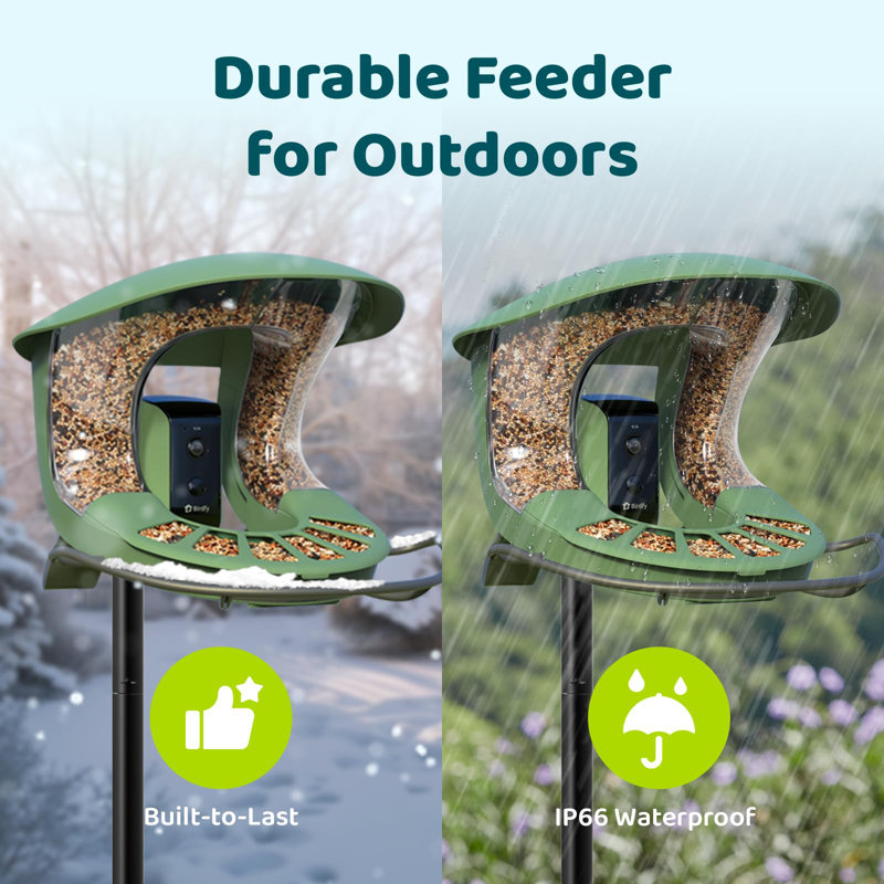 Birdfy 2 Smart Bird Feeder with Camera, 1080P HD, AI Bird Recognition, Wireless, Weatherproof, Eco-Friendly Design, Easy Installation, Live Sharing & Cloud Storage