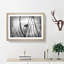 Bird On A Branch Painting - Single Picture Frame Print on MDF-56634214-56634215
