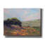 «Poppy Hill» par Alice Weil, art mural sur toile-198355675