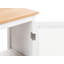Abygaelle Under Sink Cabinet