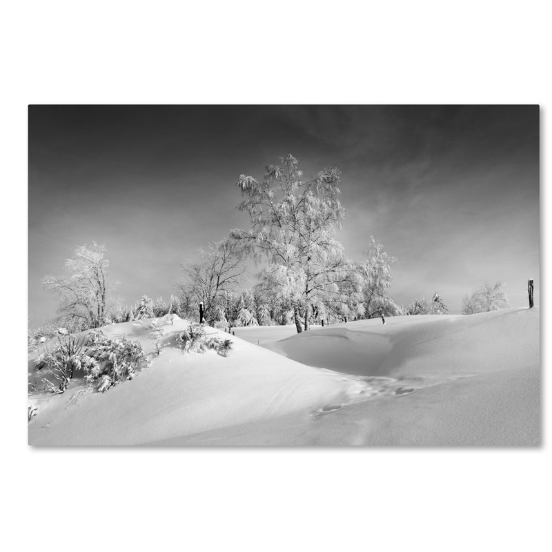 «Dressed For Winter», reproduction de photo sur toile tendue, H 16 po x l 24 po x P 2 po