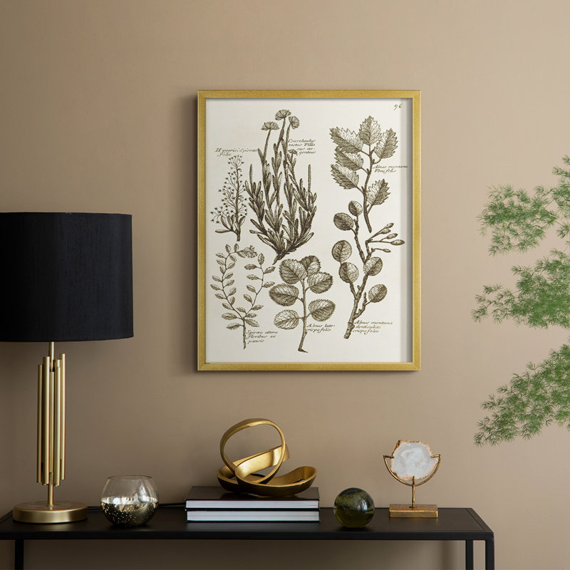 «Sepia Botanical Journal», reproduction encadrée en bois massif, H 21 po x l 17 po, Doré