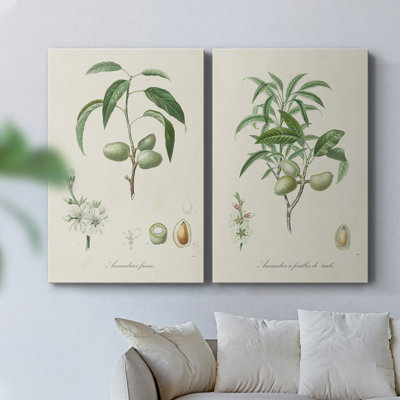 Toile tendue avec châssis antique I-Premium Botanical Antique