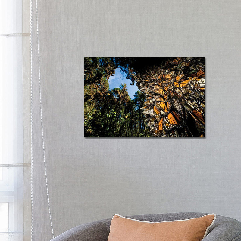 Millions Of Monarch Butterflies Roost On The Sierra Chincua Near Angangueo, Mexico I 1 Piece Wrapped Canvas Wall Art