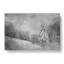 Mystical Woods In Abstract - Wrapped Canvas-55311161