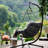 Outdoor Hanging Chair With Stand And Cushion, E-Coated Swing Chair