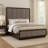 Kassius Upholstered Standard Bed-390167863-338806797