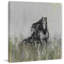 Dark Horse At The Meadow by Parvez Taj - Wrapped Canvas Print-36743791