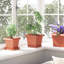  Square Flower Pot 6 Pcs Plastic-354333275-354333274