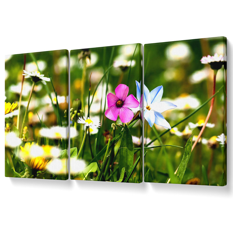 Flowers Field - 3 Piece Wrapped Canvas Print, 81.3cm H x 163cm W