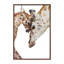 Girafe-52152773-52152761