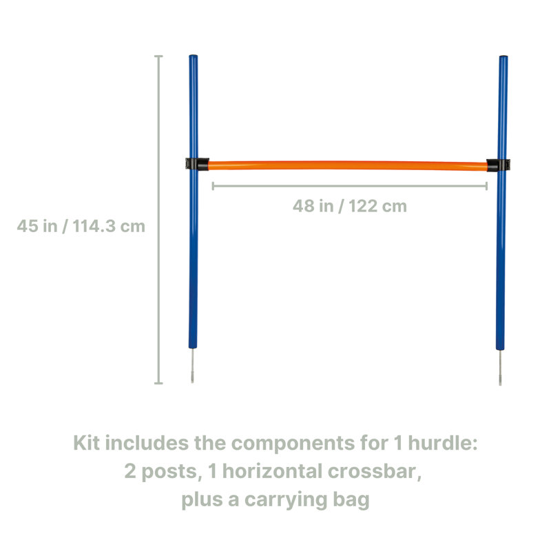 Adjustable Blue and Orange Dog Agility Hurdle
