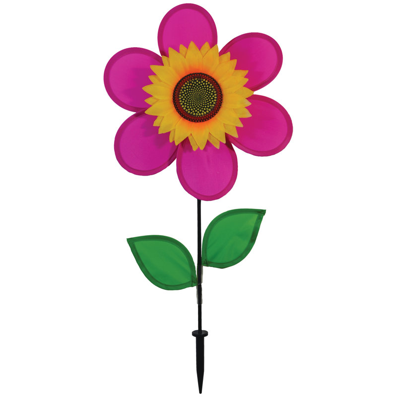 Tournesol 12 po Vicini, Rose